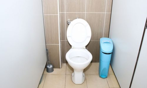 sanitary bin in the washroom