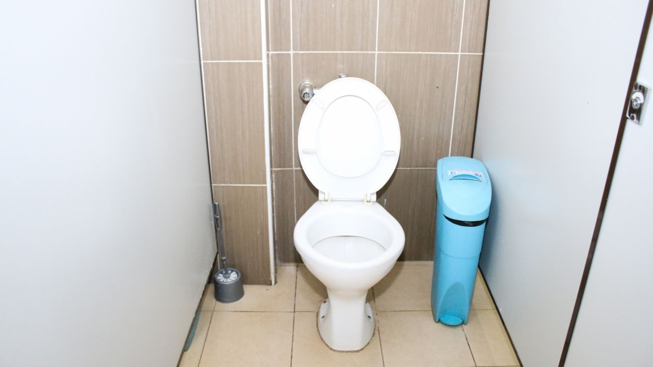 3 Key Reasons Why Your Office Needs Sanitary Bins Ice Clean Care